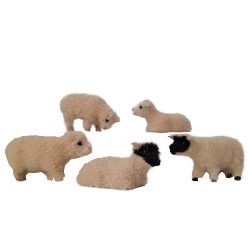 5 unterschiedliche Lämmer - 9cm lang