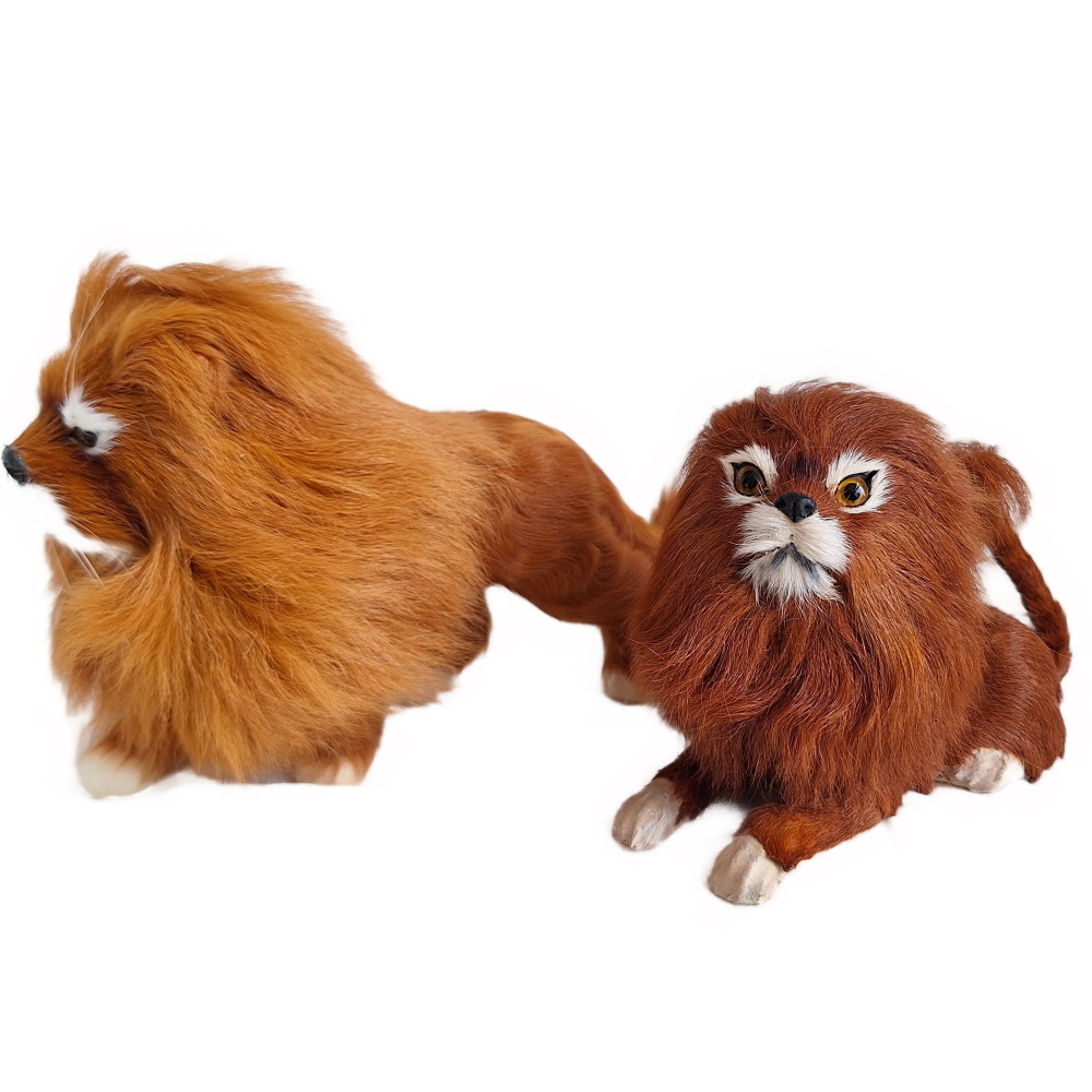 Erwachsener Löwe mit Jungtier