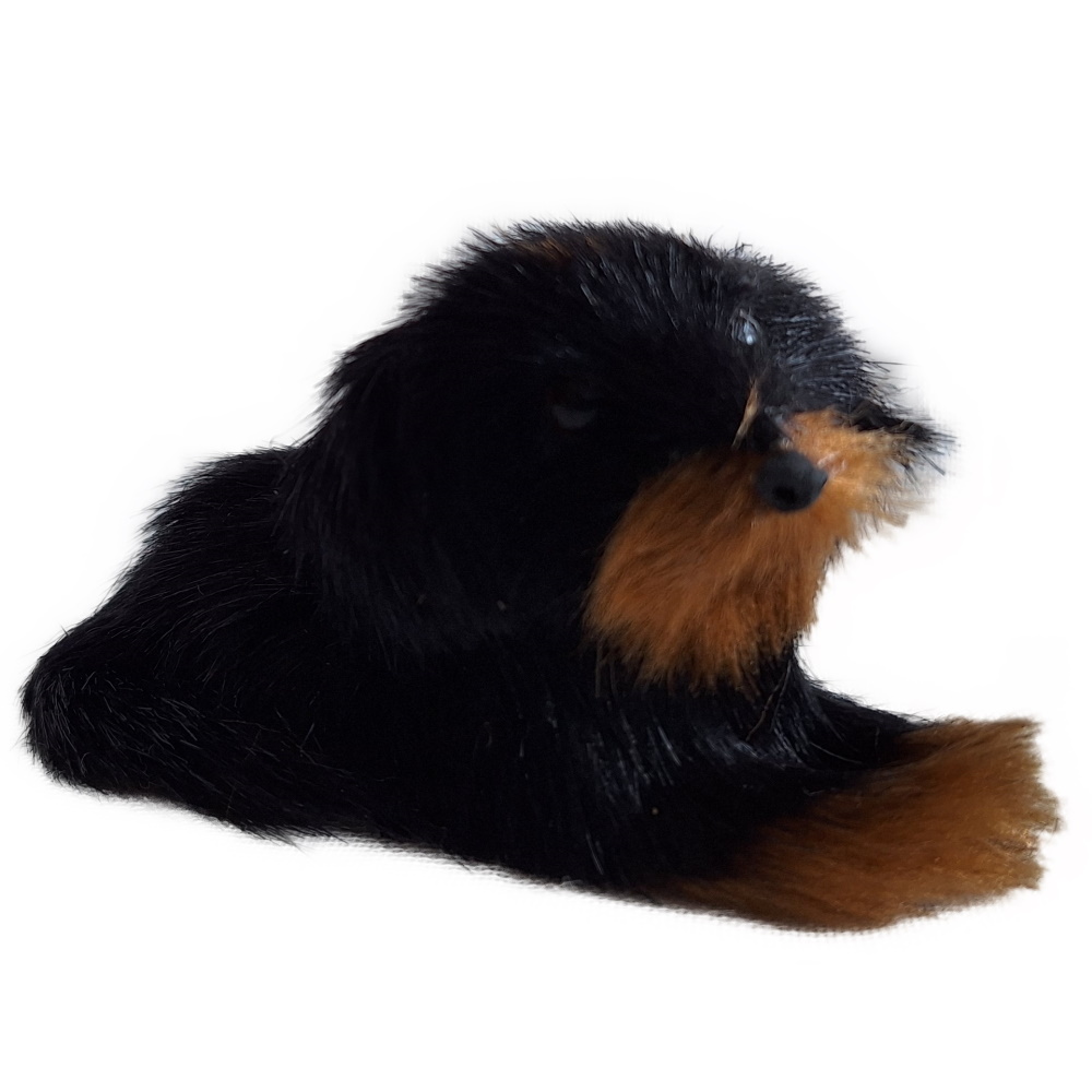 Schwarzer Hund liegend 