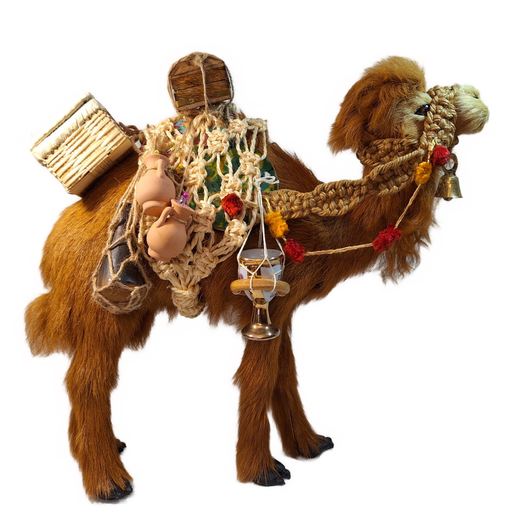 Königskamel einhöckrig - 33cm hoch